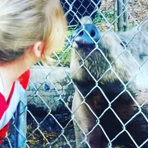 Meet your Posher, Willow